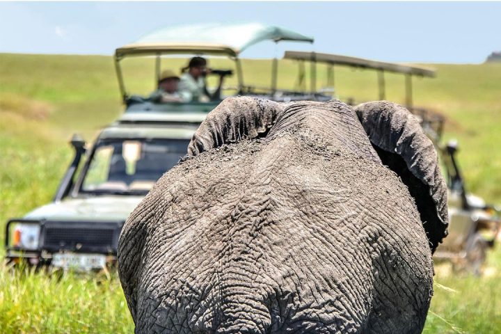 tanzania-family-safari2-ql4db9kbq0nlu1xeu6ninvt4jrsnpwxzh7192606ps tanzania-family-safari2-ql4db9kbq0nlu1xeu6ninvt4jrsnpwxzh7192606ps